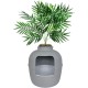 Good Pet Stuff Hidden Cat Litter Tray Good Pet Stuff Hidden Cat Litter Tray