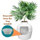 Good Pet Stuff Hidden Cat Litter Tray Good Pet Stuff Hidden Cat Litter Tray