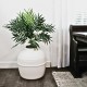 Good Pet Stuff Hidden Cat Litter Tray Good Pet Stuff Hidden Cat Litter Tray