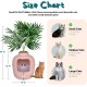 Good Pet Stuff Hidden Cat Litter Tray Good Pet Stuff Hidden Cat Litter Tray