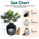 Good Pet Stuff Hidden Cat Litter Tray Good Pet Stuff Hidden Cat Litter Tray