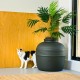 Good Pet Stuff Hidden Cat Litter Tray Good Pet Stuff Hidden Cat Litter Tray
