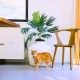 Good Pet Stuff Hidden Cat Litter Tray Good Pet Stuff Hidden Cat Litter Tray