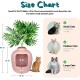 Good Pet Stuff Hidden Cat Litter Tray Good Pet Stuff Hidden Cat Litter Tray