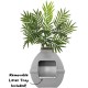 Good Pet Stuff, Hidden Cat Litter Tray and Reusable Insert, Square Cat Litter Tray with Artificial Plants, Ventilated Carbon Odor Filter System, Easy to Clean, White Birch Good Pet Stuff, Hidden Cat Litter Tray and Reusable Insert, Square Cat Litter Tray with Artificial Plants, Ventilated Carbon Odor Filter System, Easy to Clean, White Birch