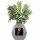 Good Pet Stuff, The Courtyard Hidden Cat Litter Box, Artificial Plants and Closed Square Cat Litter Box, Vented and Odour Filter, Easy to Clean, Stone Grey Good Pet Stuff, The Courtyard Hidden Cat Litter Box, Artificial Plants and Closed Square Cat Litter Box, Vented and Odour Filter, Easy to Clean, Stone Grey