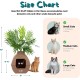 Good Pet Stuff, The Courtyard Hidden Cat Litter Box, Artificial Plants and Closed Square Cat Litter Tray, Ventilated and Odour Filter, Easy Clean, Mocha Brown Good Pet Stuff, The Courtyard Hidden Cat Litter Box, Artificial Plants and Closed Square Cat Litter Tray, Ventilated and Odour Filter, Easy Clean, Mocha Brown