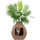 Good Pet Stuff, The Courtyard Hidden Cat Litter Box, Artificial Plants and Closed Square Cat Litter Tray, Ventilated and Odour Filter, Easy Clean, Mocha Brown Good Pet Stuff, The Courtyard Hidden Cat Litter Box, Artificial Plants and Closed Square Cat Litter Tray, Ventilated and Odour Filter, Easy Clean, Mocha Brown
