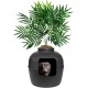 Good Pet Stuff, The Original Hidden Cat Litter Box, Artificial Plants and Closed Cat Litter Box, Ventilated and Odour Filter, Easy to Clean, Black Suede Good Pet Stuff, The Original Hidden Cat Litter Box, Artificial Plants and Closed Cat Litter Box, Ventilated and Odour Filter, Easy to Clean, Black Suede