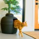 Good Pet Stuff, The Original Hidden Cat Litter Box, Artificial Plants and Closed Cat Litter Box, Ventilated and Odour Filter, Easy to Clean, Black Suede Good Pet Stuff, The Original Hidden Cat Litter Box, Artificial Plants and Closed Cat Litter Box, Ventilated and Odour Filter, Easy to Clean, Black Suede