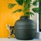 Good Pet Stuff, The Original Hidden Cat Litter Box, Artificial Plants and Closed Cat Litter Box, Ventilated and Odour Filter, Easy to Clean, Black Suede Good Pet Stuff, The Original Hidden Cat Litter Box, Artificial Plants and Closed Cat Litter Box, Ventilated and Odour Filter, Easy to Clean, Black Suede