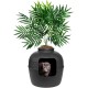 Good Pet Stuff, The Original Hidden Cat Litter Box, Artificial Plants and Closed Cat Litter Box, Ventilated and Odour Filter, Easy to Clean, Black Suede Good Pet Stuff, The Original Hidden Cat Litter Box, Artificial Plants and Closed Cat Litter Box, Ventilated and Odour Filter, Easy to Clean, Black Suede