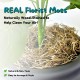 Good Pet Stuff, The Original Hidden Cat Litter Box, Artificial Plants and Closed Cat Litter Box, Ventilated and Odour Filter, Easy to Clean, Black Suede Good Pet Stuff, The Original Hidden Cat Litter Box, Artificial Plants and Closed Cat Litter Box, Ventilated and Odour Filter, Easy to Clean, Black Suede