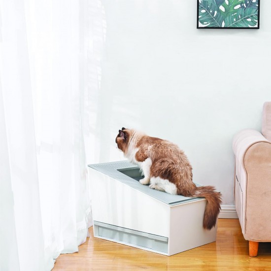 Honey Care Self-Cleaning Cat Litter Tray, Scope-Free Automatic Cat Litter Tray for Multiple Cats, App & Alexa Voice System, Smart Secure Control, Matte White Honey Care Self-Cleaning Cat Litter Tray, Scope-Free Automatic Cat Litter Tray for Multiple Cats, App & Alexa Voice System, Smart Secure Control, Matte White