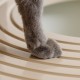 IRIS Top Entry Cat Litter Box, White IRIS Top Entry Cat Litter Box, White