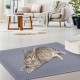 Iptienda Cat Litter Tray Mat, 86 x 56 cm, Silicone Cat Litter Mat, Non-Slip, Cat Litter Tray Mat, Waterproof Anti-Urine, Cat Litter Tray Mat, Easy to Clean (Grey) Iptienda Cat Litter Tray Mat, 86 x 56 cm, Silicone Cat Litter Mat, Non-Slip, Cat Litter Tray Mat, Waterproof Anti-Urine, Cat Litter Tray Mat, Easy to Clean (Grey)