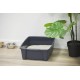 Iris Ohyama CLH-12 Cat Litter Tray, up to 7 kg, Set of 2, Grey, Open, without Lid, High Removable Edge, for Large Cats, Kittens, XXL Cat Litter Box, BPA-Free