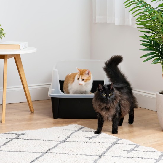 Iris Ohyama CLH-12 Cat Litter Tray, up to 7 kg, Set of 2, Grey, Open, without Lid, High Removable Edge, for Large Cats, Kittens, XXL Cat Litter Box, BPA-Free Iris Ohyama CLH-12 Cat Litter Tray, up to 7 kg, Set of 2, Grey, Open, without Lid, High Removable Edge, for Large Cats, Kittens, XXL Cat Litter Box, BPA-Free