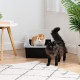 Iris Ohyama CLH-12 Cat Litter Tray, up to 7 kg, Set of 2, Grey, Open, without Lid, High Removable Edge, for Large Cats, Kittens, XXL Cat Litter Box, BPA-Free Iris Ohyama CLH-12 Cat Litter Tray, up to 7 kg, Set of 2, Grey, Open, without Lid, High Removable Edge, for Large Cats, Kittens, XXL Cat Litter Box, BPA-Free