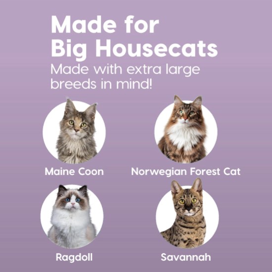 Iris Ohyama CLH-12 Cat Litter Tray, up to 7 kg, Set of 2, Grey, Open, without Lid, High Removable Edge, for Large Cats, Kittens, XXL Cat Litter Box, BPA-Free Iris Ohyama CLH-12 Cat Litter Tray, up to 7 kg, Set of 2, Grey, Open, without Lid, High Removable Edge, for Large Cats, Kittens, XXL Cat Litter Box, BPA-Free