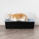 Iris Ohyama CLH-12 Cat Litter Tray, up to 7 kg, Set of 2, Grey, Open, without Lid, High Removable Edge, for Large Cats, Kittens, XXL Cat Litter Box, BPA-Free
