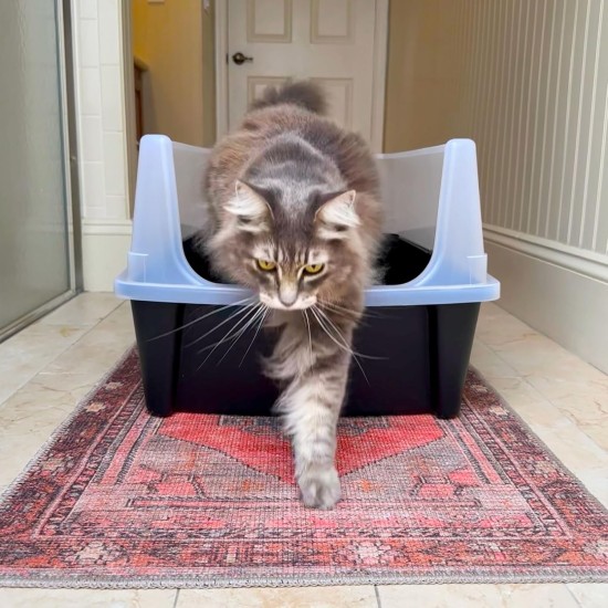 Iris Ohyama CLH-12 Cat Litter Tray, up to 7 kg, Set of 2, Grey, Open, without Lid, High Removable Edge, for Large Cats, Kittens, XXL Cat Litter Box, BPA-Free Iris Ohyama CLH-12 Cat Litter Tray, up to 7 kg, Set of 2, Grey, Open, without Lid, High Removable Edge, for Large Cats, Kittens, XXL Cat Litter Box, BPA-Free