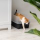 Iris Ohyama CLH-12 Cat Litter Tray, up to 7 kg, Set of 2, Grey, Open, without Lid, High Removable Edge, for Large Cats, Kittens, XXL Cat Litter Box, BPA-Free Iris Ohyama CLH-12 Cat Litter Tray, up to 7 kg, Set of 2, Grey, Open, without Lid, High Removable Edge, for Large Cats, Kittens, XXL Cat Litter Box, BPA-Free