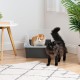 Iris Ohyama, Extra Large Cat Litter Tray XL Cat Litter Tray Grey High Sided Tray Removable Sides Leak-Proof Easy Clean for Large Adult Cat Two Animals Maine Coon BPA Free