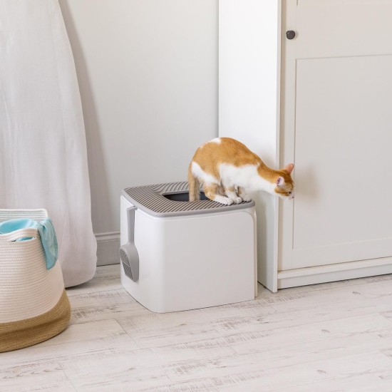 Iris Ohyama, Large Plastic Cat Litter Tray with Top Access, includes Scoop and Slotted Lid, W 53 x D 41 x H 37 cm, Unit, BPA-Free, Scoop Holder, PUNT-530, White/Beige Iris Ohyama, Large Plastic Cat Litter Tray with Top Access, includes Scoop and Slotted Lid, W 53 x D 41 x H 37 cm, Unit, BPA-Free, Scoop Holder, PUNT-530, White/Beige