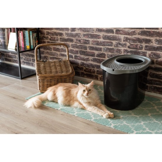 Iris Ohyama, Large Plastic Cat Litter Tray with Top Access, includes Scoop and Slotted Lid, W 53 x D 41 x H 37 cm, Unit, BPA-Free, Scoop Holder, PUNT-530, White/Beige Iris Ohyama, Large Plastic Cat Litter Tray with Top Access, includes Scoop and Slotted Lid, W 53 x D 41 x H 37 cm, Unit, BPA-Free, Scoop Holder, PUNT-530, White/Beige