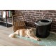 Iris Ohyama, Large Plastic Cat Litter Tray with Top Access, includes Scoop and Slotted Lid, W 53 x D 41 x H 37 cm, Unit, BPA-Free, Scoop Holder, PUNT-530, White/Beige Iris Ohyama, Large Plastic Cat Litter Tray with Top Access, includes Scoop and Slotted Lid, W 53 x D 41 x H 37 cm, Unit, BPA-Free, Scoop Holder, PUNT-530, White/Beige