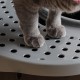 Iris Ohyama, Large Plastic Cat Litter Tray with Top Access, includes Scoop and Slotted Lid, W 53 x D 41 x H 37 cm, Unit, BPA-Free, Scoop Holder, PUNT-530, White/Beige Iris Ohyama, Large Plastic Cat Litter Tray with Top Access, includes Scoop and Slotted Lid, W 53 x D 41 x H 37 cm, Unit, BPA-Free, Scoop Holder, PUNT-530, White/Beige