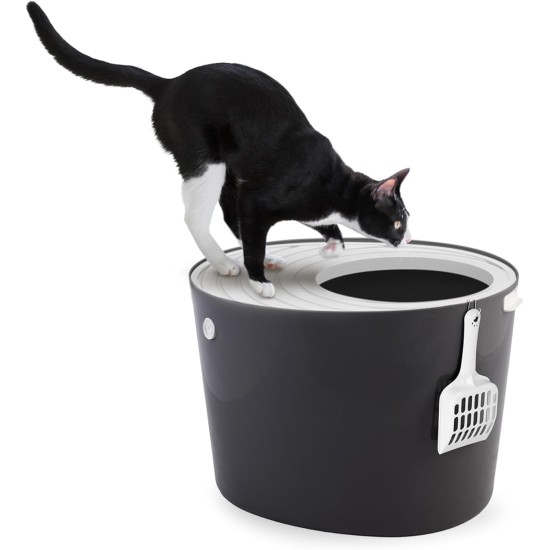 Iris Ohyama, Large Plastic Cat Litter Tray with Top Access, includes Scoop and Slotted Lid, W 53 x D 41 x H 37 cm, Unit, BPA-Free, Scoop Holder, PUNT-530, White/Beige Iris Ohyama, Large Plastic Cat Litter Tray with Top Access, includes Scoop and Slotted Lid, W 53 x D 41 x H 37 cm, Unit, BPA-Free, Scoop Holder, PUNT-530, White/Beige