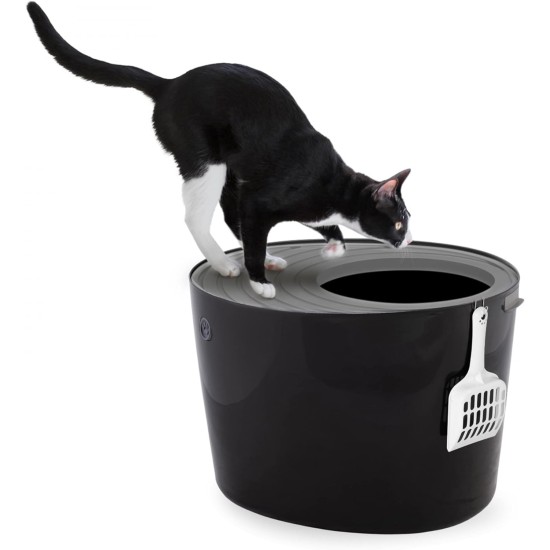 Iris Ohyama, Large Plastic Cat Litter Tray with Top Access, includes Scoop and Slotted Lid, W 53 x D 41 x H 37 cm, Unit, BPA-Free, Scoop Holder, PUNT-530, White/Beige Iris Ohyama, Large Plastic Cat Litter Tray with Top Access, includes Scoop and Slotted Lid, W 53 x D 41 x H 37 cm, Unit, BPA-Free, Scoop Holder, PUNT-530, White/Beige