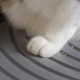 Iris Ohyama, Large Plastic Cat Litter Tray with Top Access, includes Scoop and Slotted Lid, W 53 x D 41 x H 37 cm, Unit, BPA-Free, Scoop Holder, PUNT-530, White/Beige Iris Ohyama, Large Plastic Cat Litter Tray with Top Access, includes Scoop and Slotted Lid, W 53 x D 41 x H 37 cm, Unit, BPA-Free, Scoop Holder, PUNT-530, White/Beige