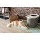 Iris Ohyama, Large Plastic Cat Litter Tray with Top Access, includes Scoop and Slotted Lid, W 53 x D 41 x H 37 cm, Unit, BPA-Free, Scoop Holder, PUNT-530, White/Beige Iris Ohyama, Large Plastic Cat Litter Tray with Top Access, includes Scoop and Slotted Lid, W 53 x D 41 x H 37 cm, Unit, BPA-Free, Scoop Holder, PUNT-530, White/Beige
