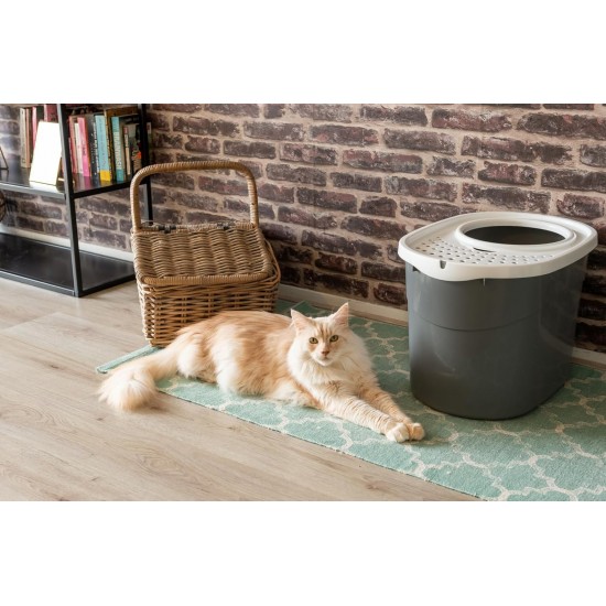 Iris Ohyama, Plastic Cat Litter Tray with Top Entry, includes Scoop and Slotted Lid, W 53 x D 41 x H 37 cm, PUNT-530, Grey Iris Ohyama, Plastic Cat Litter Tray with Top Entry, includes Scoop and Slotted Lid, W 53 x D 41 x H 37 cm, PUNT-530, Grey