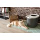 Iris Ohyama, Plastic Cat Litter Tray with Top Entry, includes Scoop and Slotted Lid, W 53 x D 41 x H 37 cm, PUNT-530, Grey Iris Ohyama, Plastic Cat Litter Tray with Top Entry, includes Scoop and Slotted Lid, W 53 x D 41 x H 37 cm, PUNT-530, Grey