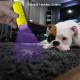 LEAGY 2 Pack Mini UV Torch with 9 LEDs and Batteries - Pet Urine Detector for Dog/Cat, Fluorescent Agent, Dry Spots, Counterfeit Detection, Banknotes, Bed Bugs etc (Green) LEAGY 2 Pack Mini UV Torch with 9 LEDs and Batteries - Pet Urine Detector for Dog/Cat, Fluorescent Agent, Dry Spots, Counterfeit Detection, Banknotes, Bed Bugs etc (Green)
