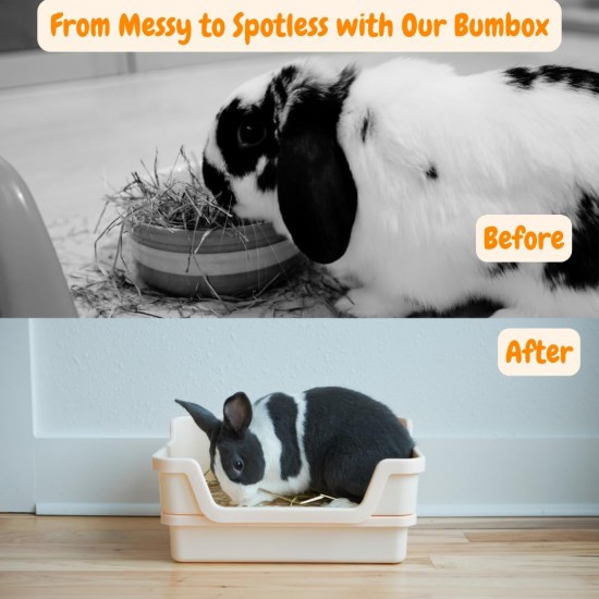 Large Rabbit Cat Litter Tray with Plastic Grid and Tilt Tray, Safe for Rabbit Feet, Pet Waste Station for Rabbit Supplies - Rabbit Cage Accessories, Cage Hooks for Corner Cat Litter Tray Training Large Rabbit Cat Litter Tray with Plastic Grid and Tilt Tray, Safe for Rabbit Feet, Pet Waste Station for Rabbit Supplies - Rabbit Cage Accessories, Cage Hooks for Corner Cat Litter Tray Training