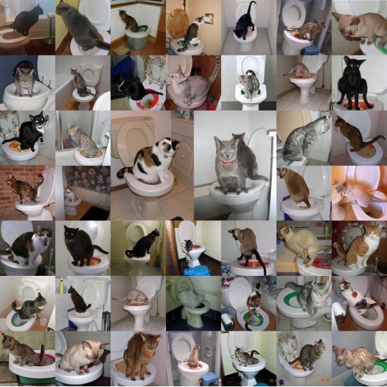 Litter Kwitter Cat Toilet Training System Litter Kwitter Cat Toilet Training System