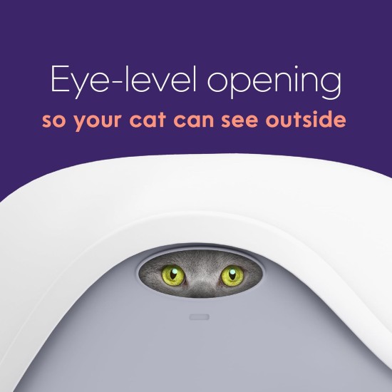 LitterLocker LitterBox Grey Cat Litter Tray Elegant and Practical Design Easy Emptying Includes Scoop LitterLocker LitterBox Grey Cat Litter Tray Elegant and Practical Design Easy Emptying Includes Scoop