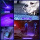 MVIOCS UV Light Flashlight, 395nm Blacklight, Mini Handheld LED Pet Urine Ringworm Detector, Resin Curing, Pocket Size, Fake Bills and More MVIOCS UV Light Flashlight, 395nm Blacklight, Mini Handheld LED Pet Urine Ringworm Detector, Resin Curing, Pocket Size, Fake Bills and More