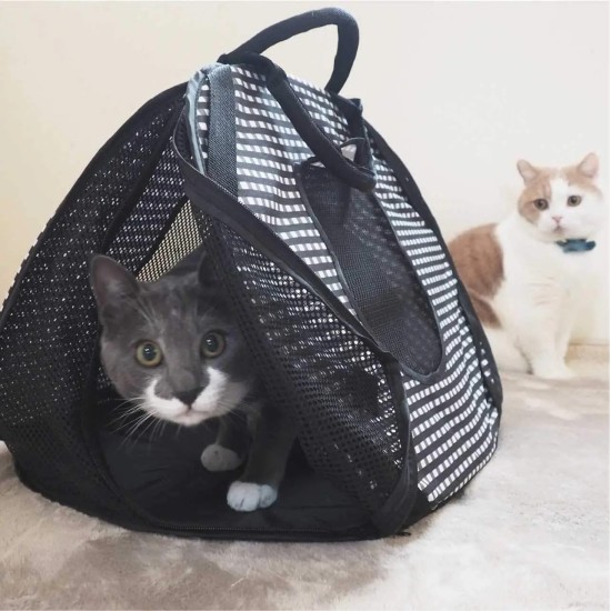 Necoichi Stress Free Cat Cage (Carry Bag) Cat Litter Box Set Collapsible for 2 Cats 31.8" L x 4.5" W x 20" H for Indoor Small Medium Large Cats Necoichi Stress Free Cat Cage (Carry Bag) Cat Litter Box Set Collapsible for 2 Cats 31.8" L x 4.5" W x 20" H for Indoor Small Medium Large Cats