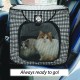 Necoichi Stress Free Cat Cage (Carry Bag) Cat Litter Box Set Collapsible for 2 Cats 31.8" L x 4.5" W x 20" H for Indoor Small Medium Large Cats