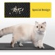Nobleza Cat Litter Tray Mat Cat Litter Tray (60 x 40 cm, Black) Cat Litter Mat Honeycomb Design, Non-Slip Cat Litter Mat for Cat Litter Trays, Cat Litter Mat