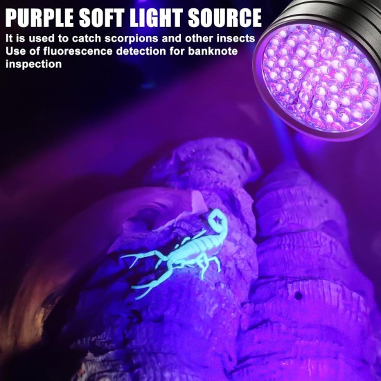 Pack of 2 UV Black Light Torch with 51 LEDs, 395 nm Pets Urine Detector, UV LED Black Light Lamp, Ultraviolet Light Scorpion Light for Dogs and Cats, Money Check (No Battery) Pack of 2 UV Black Light Torch with 51 LEDs, 395 nm Pets Urine Detector, UV LED Black Light Lamp, Ultraviolet Light Scorpion Light for Dogs and Cats, Money Check (No Battery)