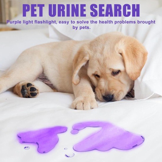 Pack of 2 UV Black Light Torch with 51 LEDs, 395 nm Pets Urine Detector, UV LED Black Light Lamp, Ultraviolet Light Scorpion Light for Dogs and Cats, Money Check (No Battery) Pack of 2 UV Black Light Torch with 51 LEDs, 395 nm Pets Urine Detector, UV LED Black Light Lamp, Ultraviolet Light Scorpion Light for Dogs and Cats, Money Check (No Battery)