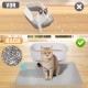 Phantasy Cat Litter Tray Mat, 40 x 60 cm, Grey Cat Litter Mat, Honeycomb Design Mat, Waterproof Double Layer Design, Honeycomb Mat, Cat Litter Tray Mat Phantasy Cat Litter Tray Mat, 40 x 60 cm, Grey Cat Litter Mat, Honeycomb Design Mat, Waterproof Double Layer Design, Honeycomb Mat, Cat Litter Tray Mat