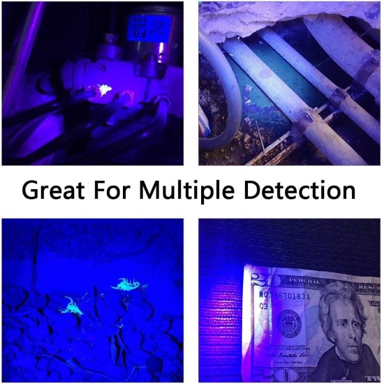 Raguso UV Black Light Torch Pet Urine Detector Light Portable Dog Cat Urine Detector for Finding Dry Stains on Pets, Carpets or Floor Beds Raguso UV Black Light Torch Pet Urine Detector Light Portable Dog Cat Urine Detector for Finding Dry Stains on Pets, Carpets or Floor Beds